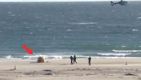Japonya’da gizemli küre alarmı! Bölgeye bomba imha grubu sevk edildi