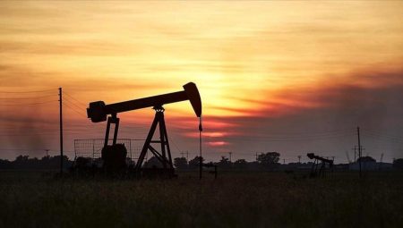 Citi’den petrol tahmini!