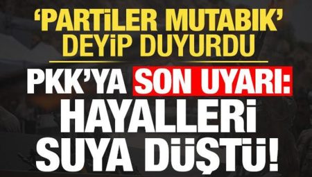 ‘Partiler de mutabık’ deyip duyurdu! PKK’ya son ikaz: Hayalleri orada da suya düştü…